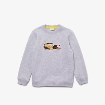 Lacoste Lacoste x National Geographic Fleece Sweatshirt - Mikiny Dětské Šedé / Bílé | CZ-KulKb1